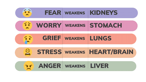 Emotions Affecting Organs Wholistic Natural Health 